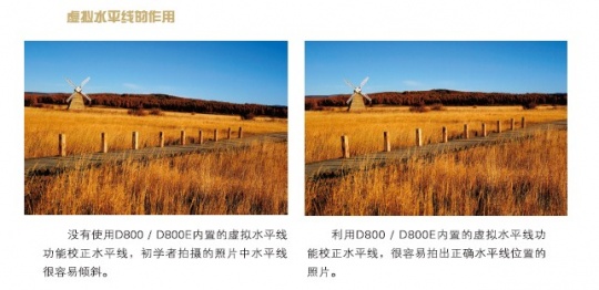 尼康D800/D800E数码单反摄影从入门到精通——虚拟水平线