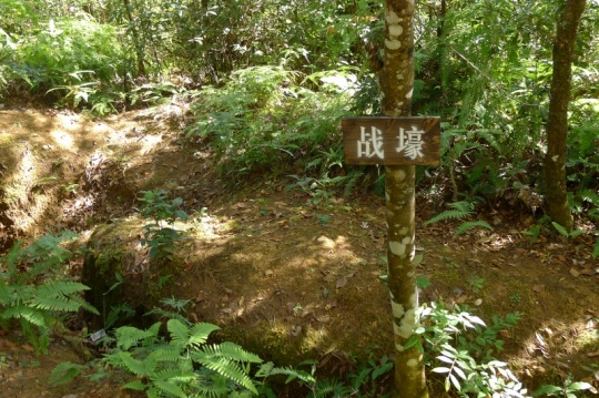 松山战役是山地丛林攻坚的典型战役
