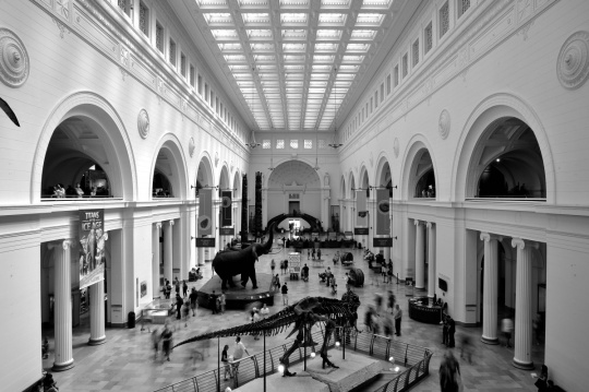 芝加哥菲尔德博物馆，内藏有迄今为止最大也最完整的霸王龙跟猛犸象化石，这实在难得，可是每当想到曾经生活在地球上的生物多半已经灭绝或濒临灭绝就不禁心痛疾首。 
