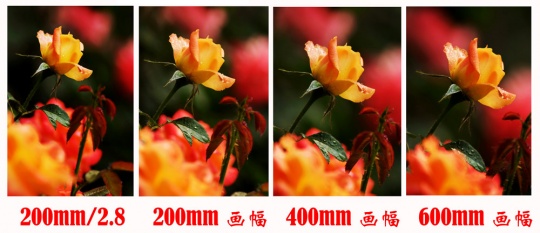 大口径镜头与超长焦镜头的虚化效果对比