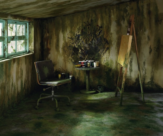 Mossy Room 苔藓屋 150cmx180cm，收藏级喷墨打印，2011