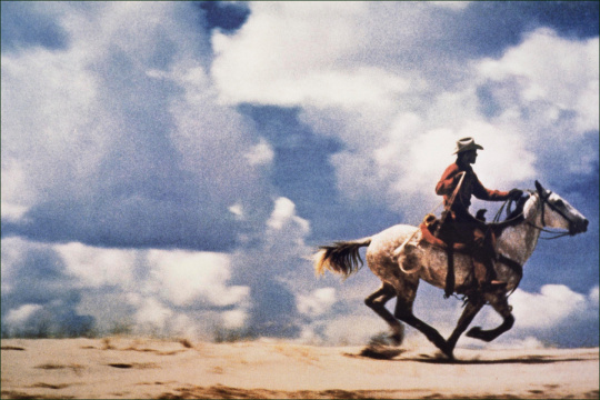 《Untitled （Cowboy）》，理查德·普林斯，1989年