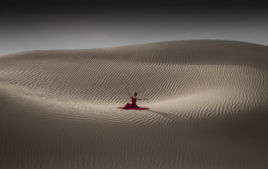谢墨作品：《沙漠中的玫瑰》，使用哈苏H6D-100c拍摄